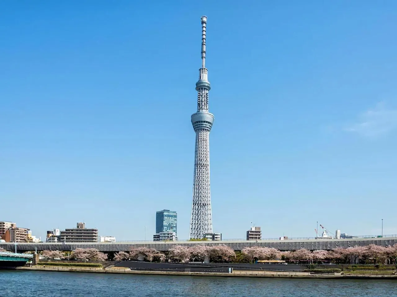 Anshin Oyado Akihabara Denkigaiten Токио 0*,